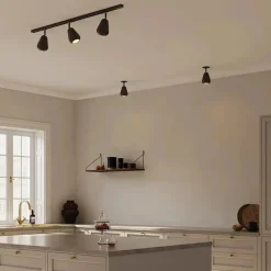 Anoli spot innfelt