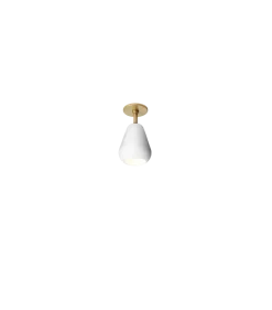 Anoli spot innfelt