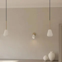 Anoli spot takpendel