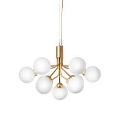 Apiales 9 lysekrone