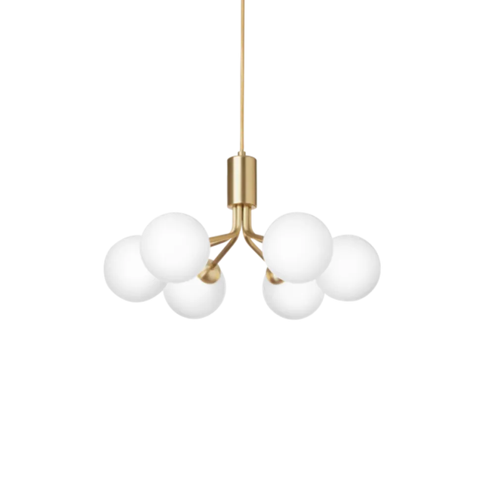 Apiales 6 lysekrone