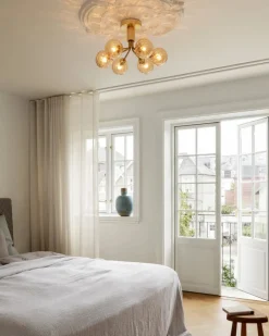 Apiales 6 taklampe