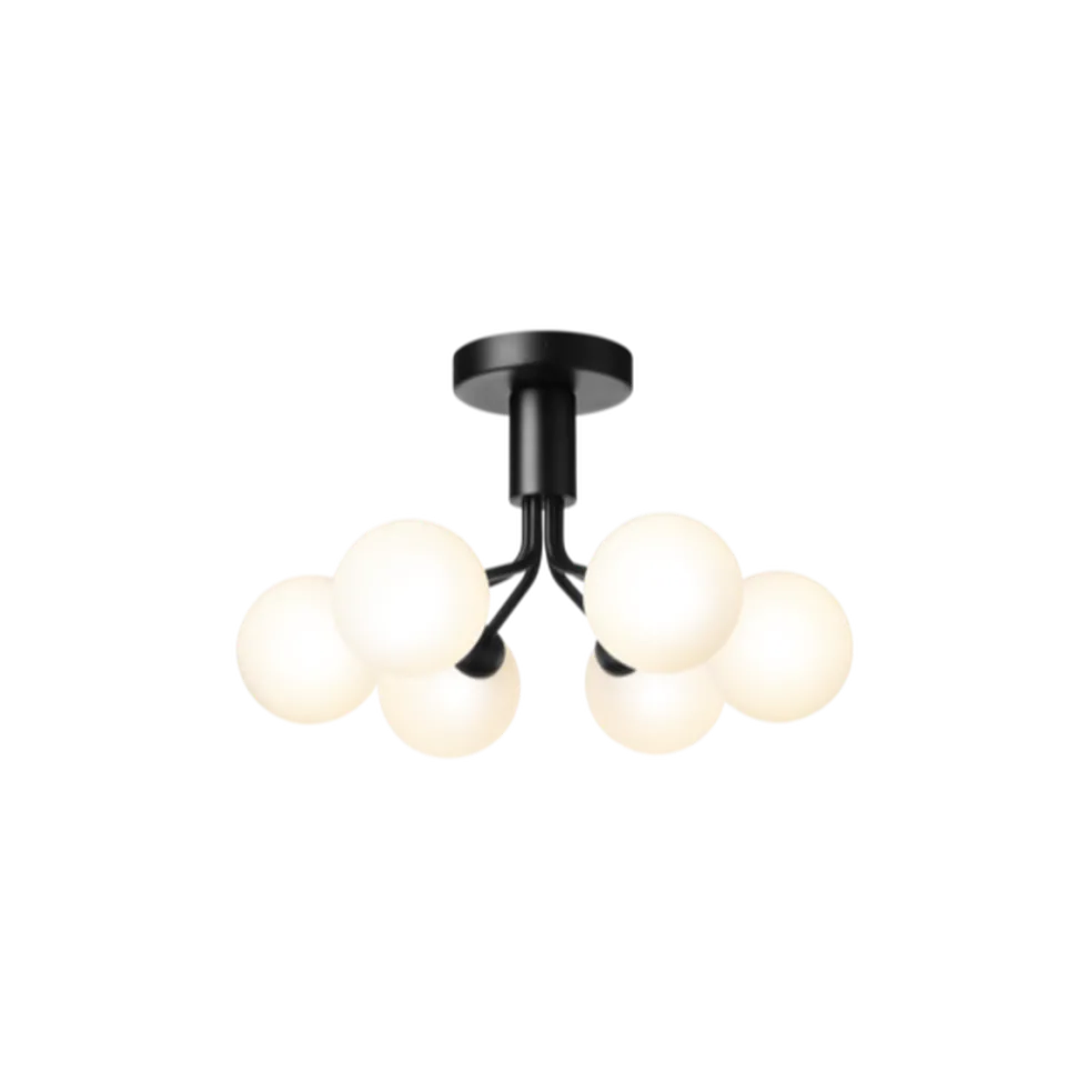 Apiales 6 taklampe