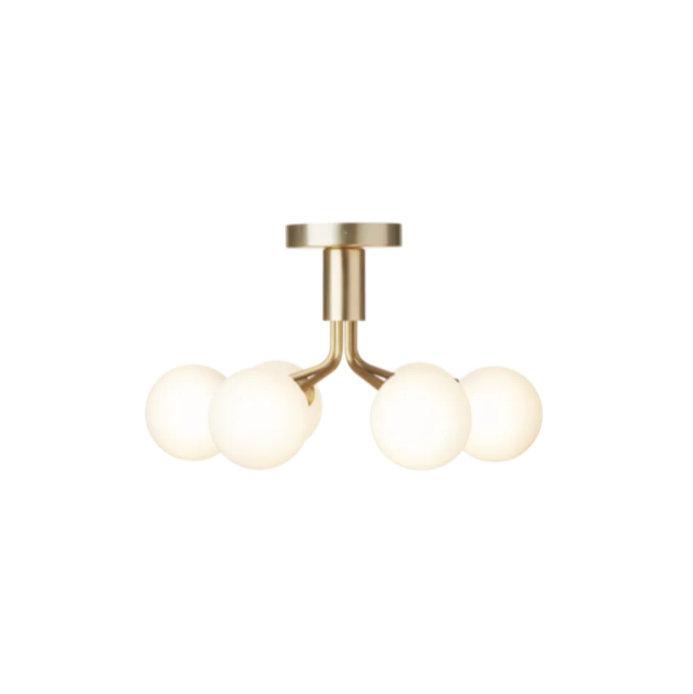 Apiales 6 taklampe