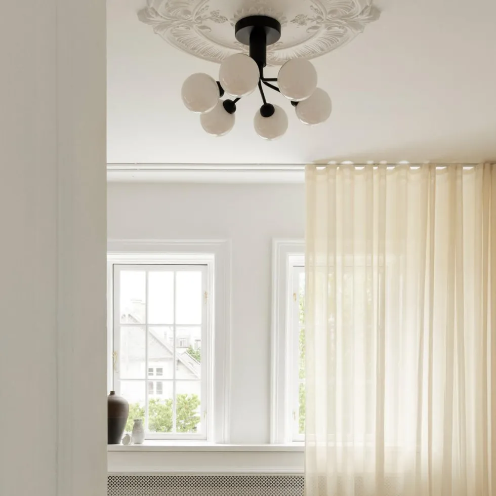 Apiales 6 taklampe