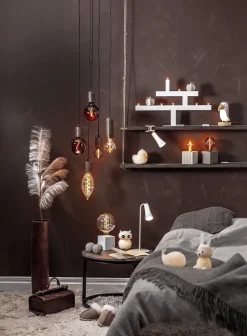 Nattlampe - and